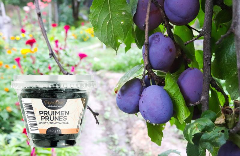 Prunes